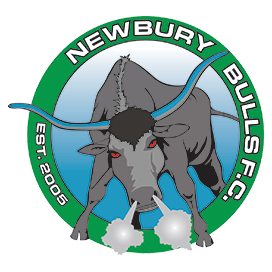 NEWBURY-BULLS